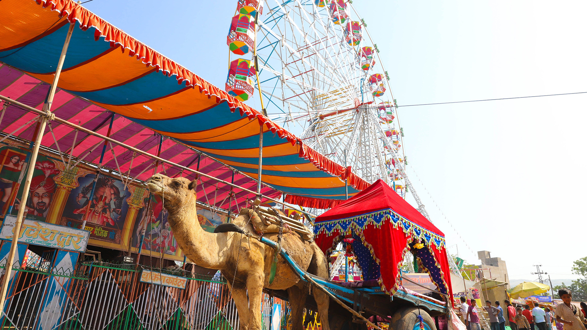Pushkar Fair Tours in India 